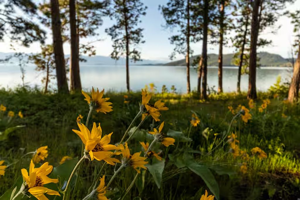 22700 Northaire Lane, Rollins, MT 59931 photo 52