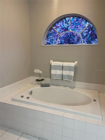 310 CRYSTAL GOBLET COURT, Valrico, FL 33594