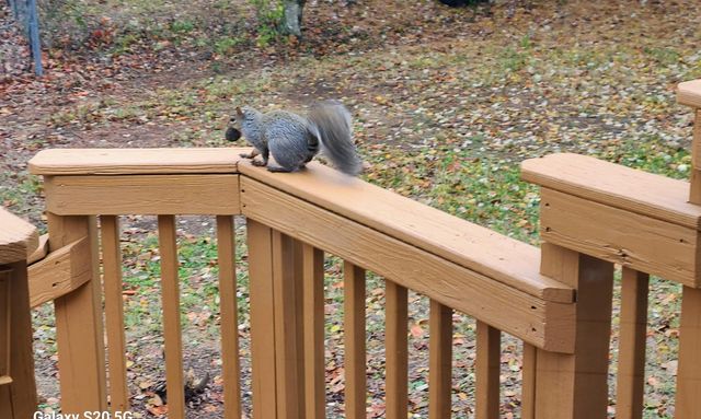 3632 Laredo Drive, Lexington, KY 40517