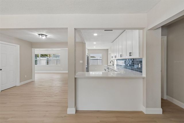 10229 N VALLE DRIVE, Tampa, FL 33612