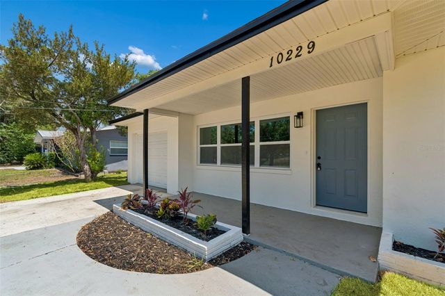 10229 N VALLE DRIVE, Tampa, FL 33612