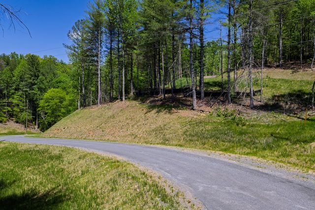 Lot 343 Shallow Branch Drive, Talking Rock, GA 30175