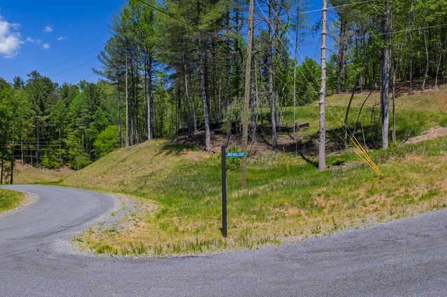 Lot 343 Shallow Branch Drive, Talking Rock, GA 30175