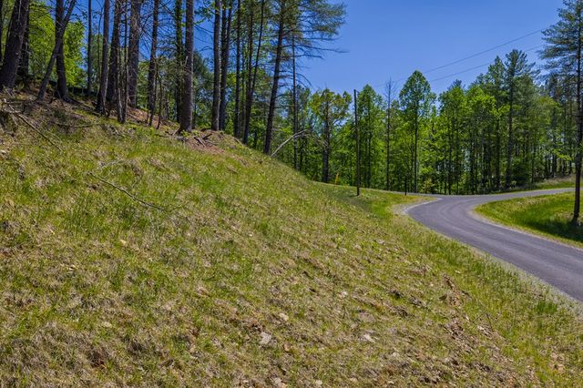 Lot 343 Shallow Branch Drive, Talking Rock, GA 30175