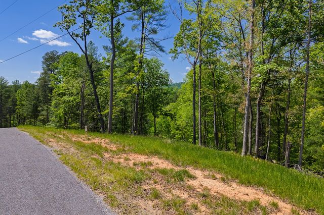Lot 343 Shallow Branch Drive, Talking Rock, GA 30175