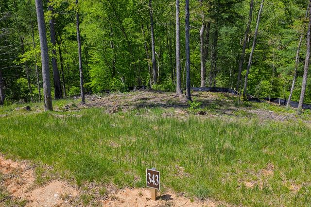 Lot 343 Shallow Branch Drive, Talking Rock, GA 30175