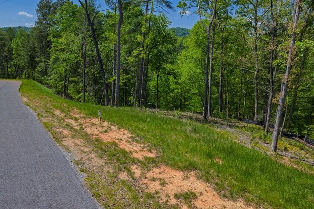 Lot 343 Shallow Branch Drive, Talking Rock, GA 30175
