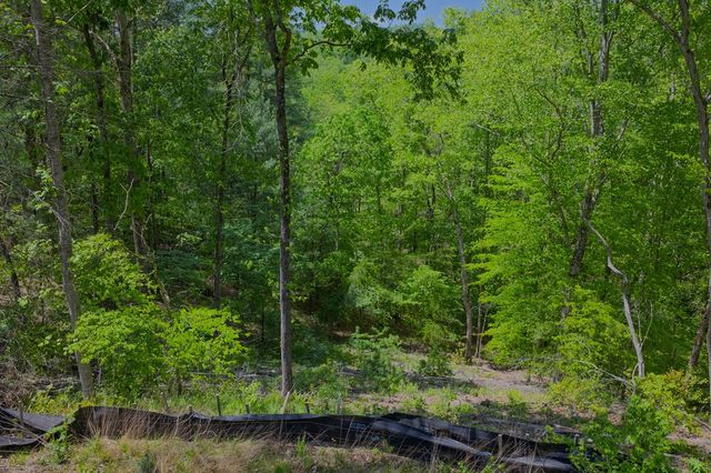 Lot 343 Shallow Branch Drive, Talking Rock, GA 30175