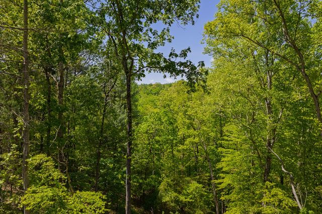 Lot 343 Shallow Branch Drive, Talking Rock, GA 30175