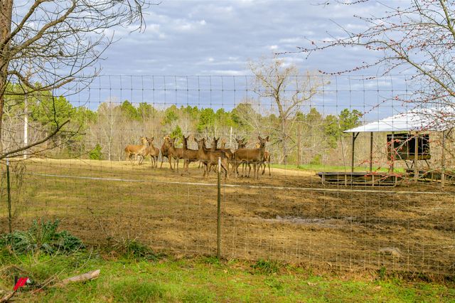 179 Daniel Thomas Road, Springhill, LA 71075