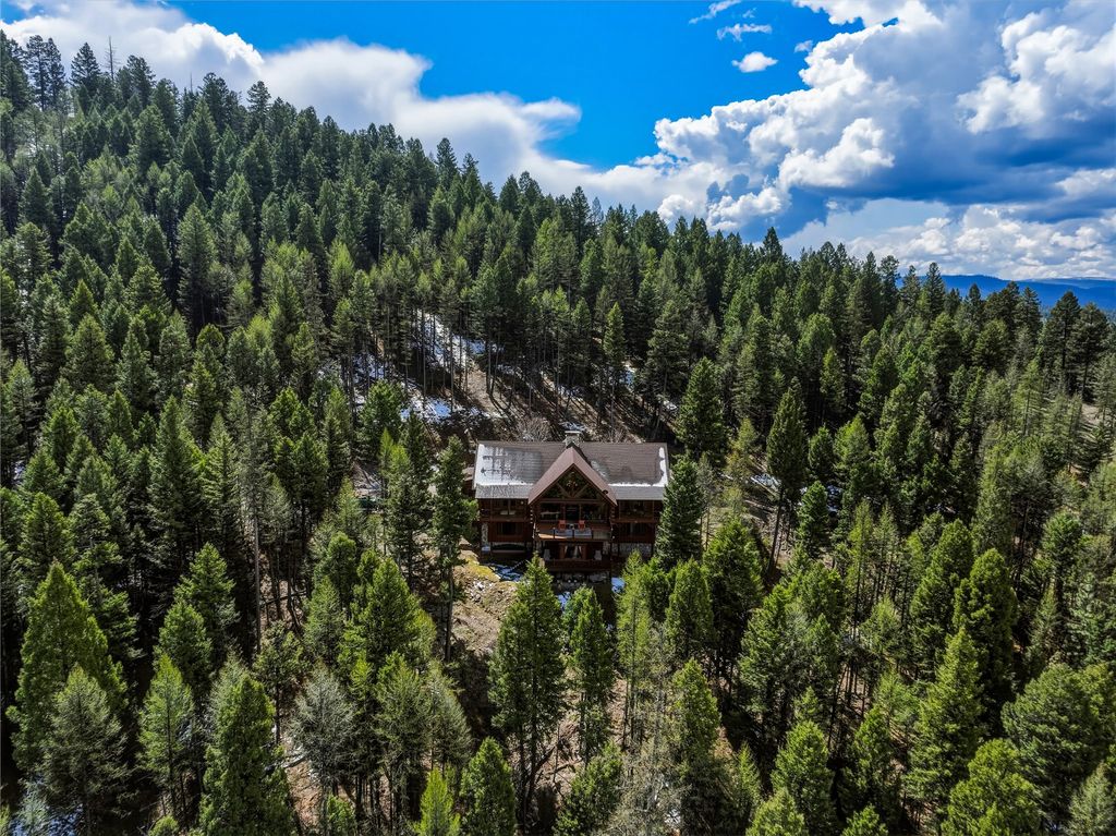 180 Elkhorn Road, Seeley Lake, MT 59868 photo 104