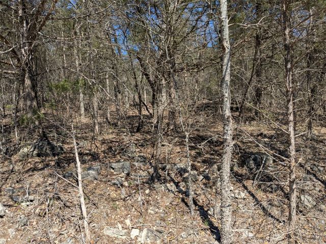 TBD Cottonwood Lane, Holiday Island, AR 72631