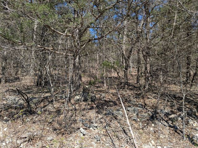 TBD Cottonwood Lane, Holiday Island, AR 72631