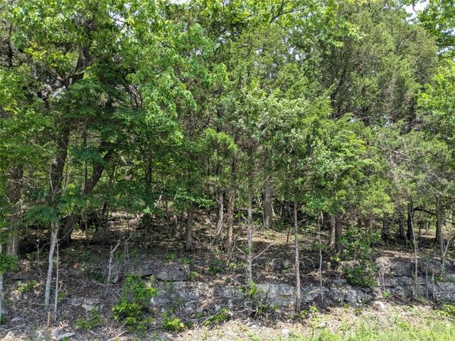 TBD Cottonwood Lane, Holiday Island, AR 72631