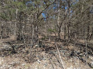 TBD Cottonwood Lane, Holiday Island, AR 72631