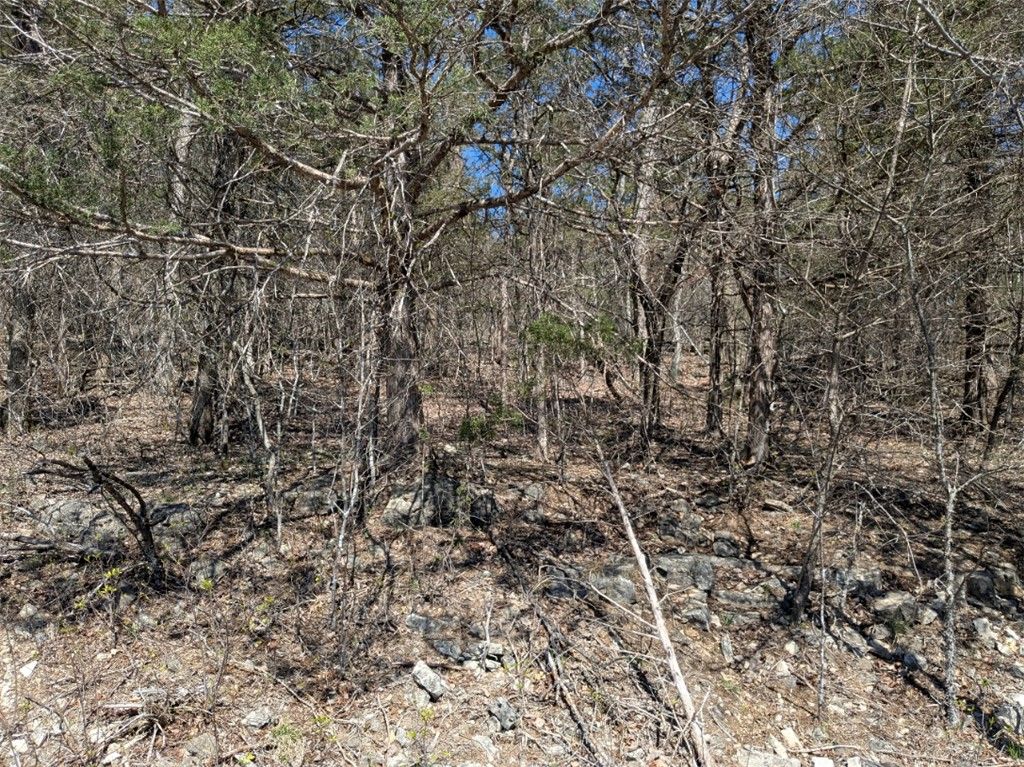 TBD Cottonwood Lane, Holiday Island, AR 72631