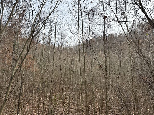 216 Happy Hollow Rd, Goodlettsville, TN 37072