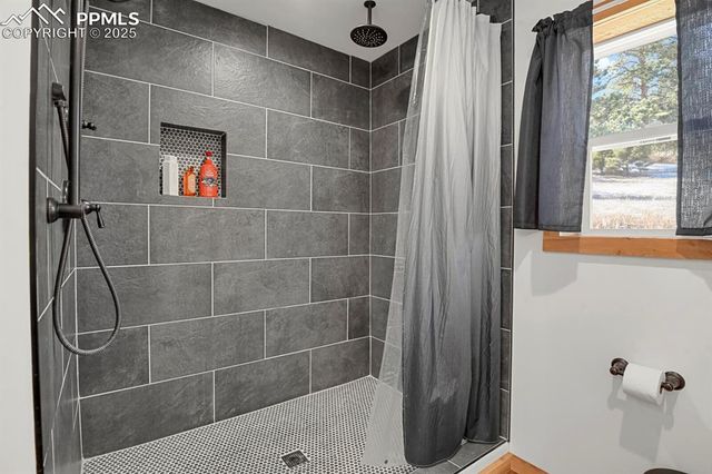 1053 Will Scarlet Drive, Divide, CO 80814