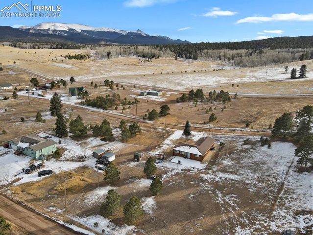 1053 Will Scarlet Drive, Divide, CO 80814