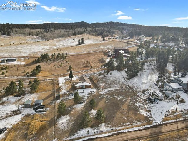 1053 Will Scarlet Drive, Divide, CO 80814