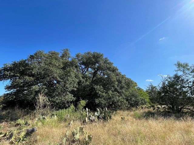 Lot 180 Swamp Creek Cove, Burnet, TX 78611