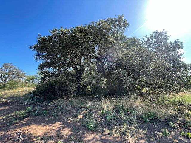 Lot 180 Swamp Creek Cove, Burnet, TX 78611