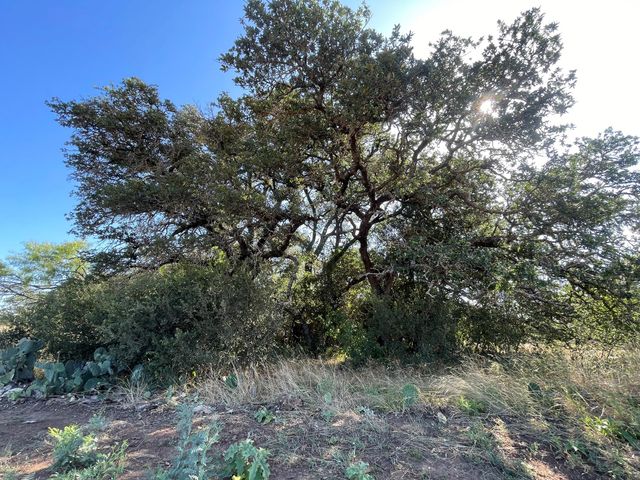 Lot 180 Swamp Creek Cove, Burnet, TX 78611