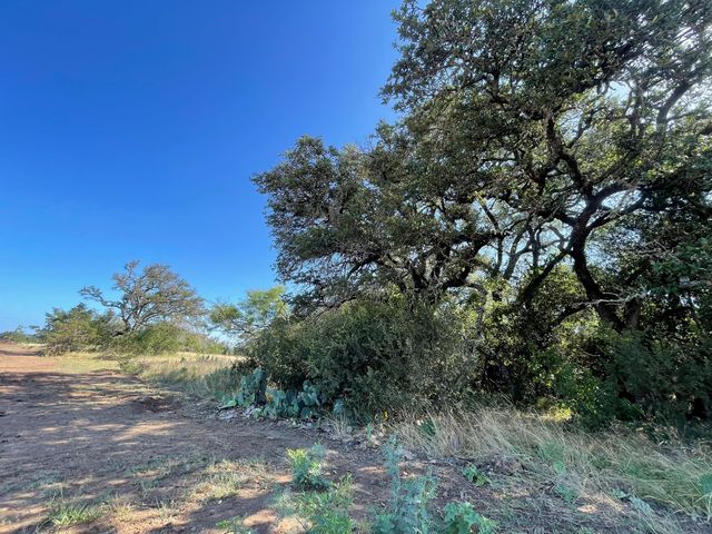Lot 180 Swamp Creek Cove, Burnet, TX 78611