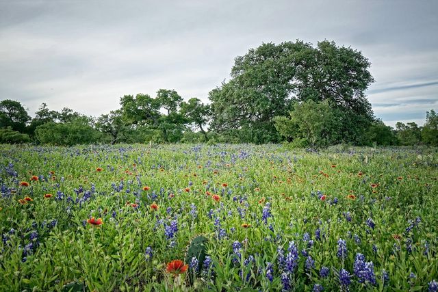 Lot 180 Swamp Creek Cove, Burnet, TX 78611