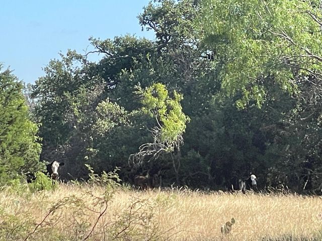 Lot 180 Swamp Creek Cove, Burnet, TX 78611
