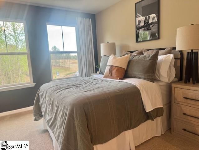 66 Broad River Way, Greenville, SC 29607