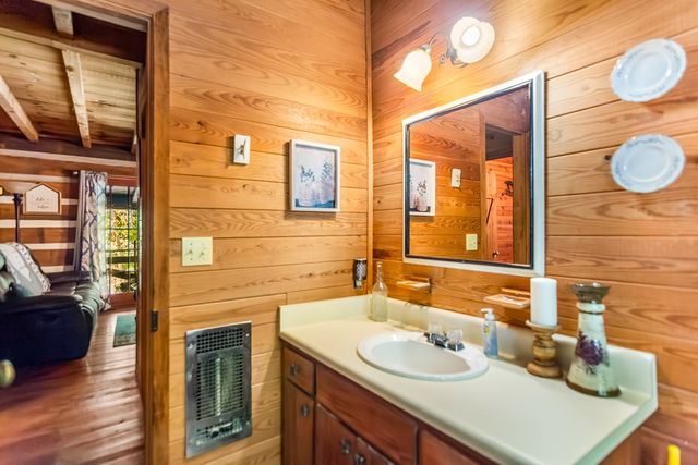 111 Laurel Trail, Blue Ridge, GA 30513