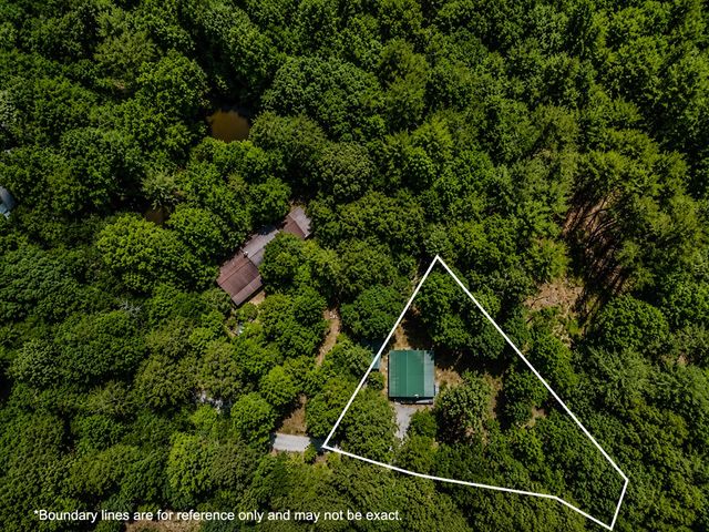 111 Laurel Trail, Blue Ridge, GA 30513