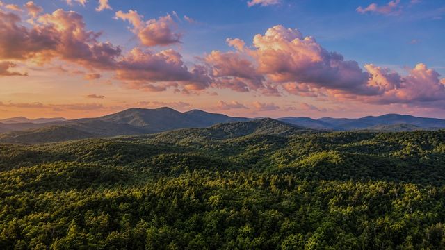 111 Laurel Trail, Blue Ridge, GA 30513