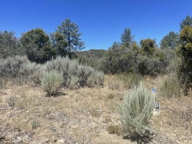0 Devils Ladder, Mountain Center, CA 92561