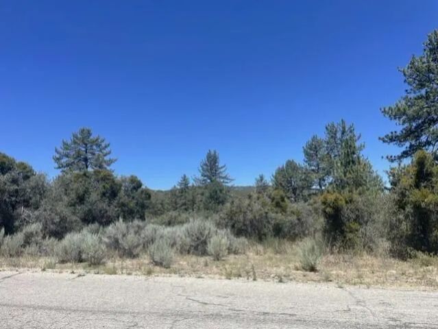 0 Devils Ladder, Mountain Center, CA 92561