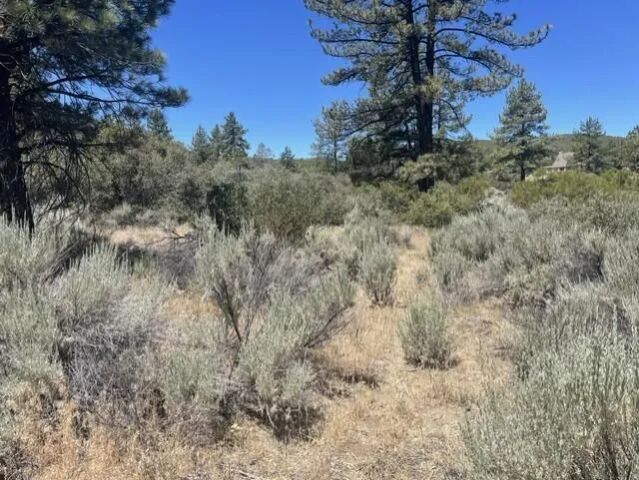 0 Devils Ladder, Mountain Center, CA 92561