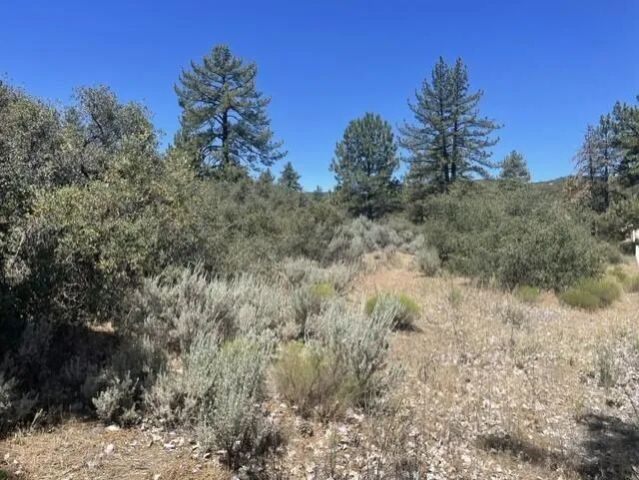0 Devils Ladder, Mountain Center, CA 92561
