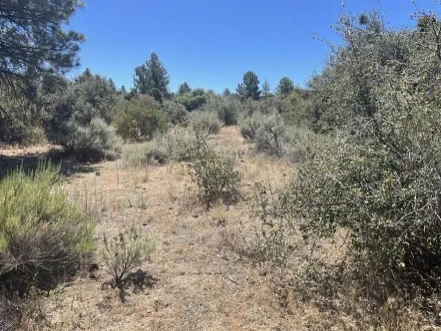 0 Devils Ladder, Mountain Center, CA 92561