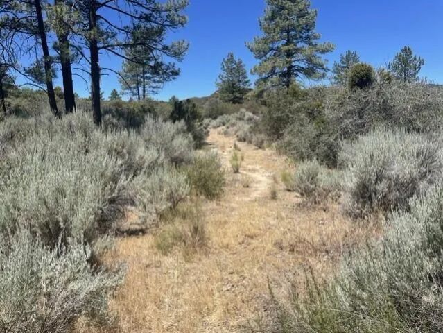 0 Devils Ladder, Mountain Center, CA 92561