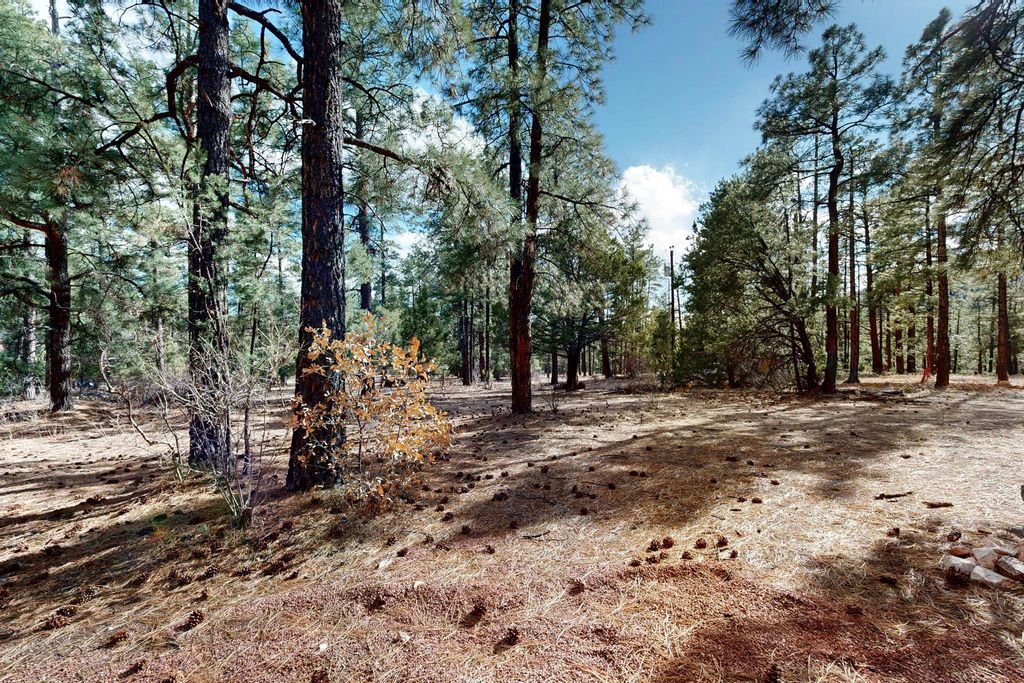 Image 27 of property listing at 78 Cedar Road, Jemez Springs, NM 87025