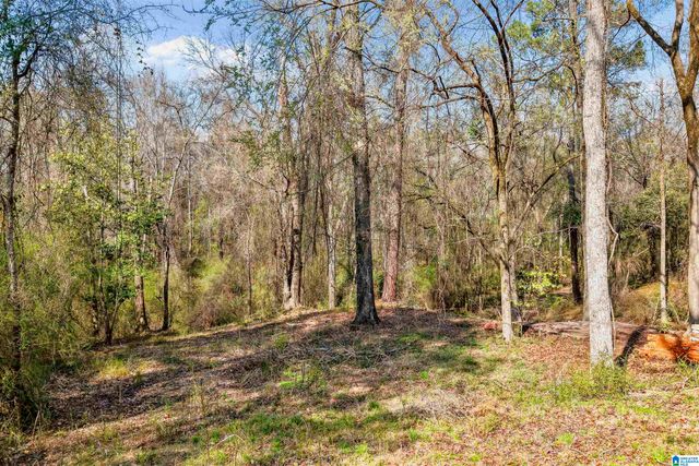 1715 WALNUT STREET, Centreville, AL 35042