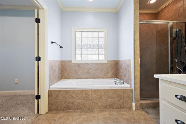 707 Tortoise Ridge, Brandon, MS 39047