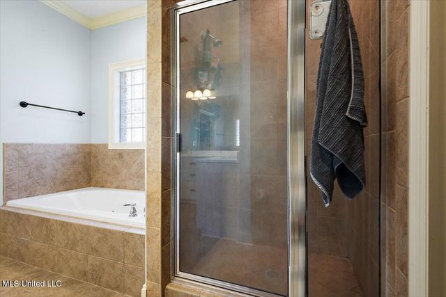 707 Tortoise Ridge, Brandon, MS 39047