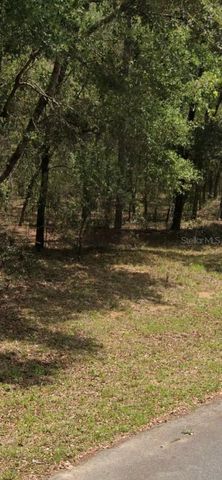 9231 N SHERMAN DRIVE, Citrus Springs, FL 34434