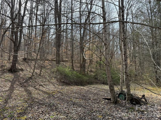 57 N Fork Road, Barnardsville, NC 28709