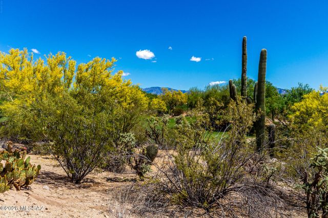 5117 W Desert Eagle Circle, Marana, AZ 85658