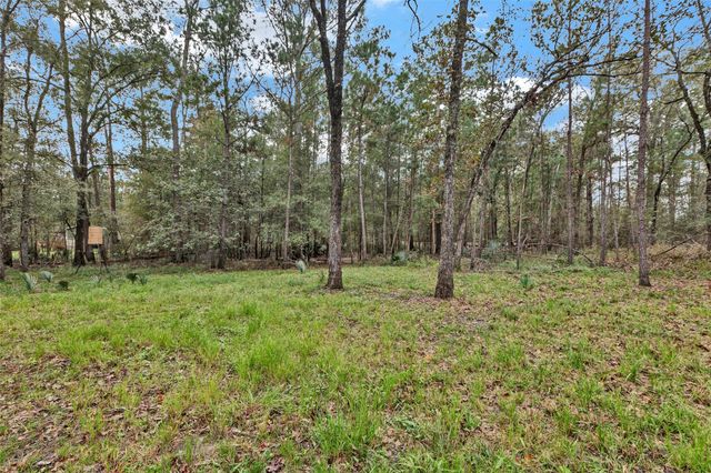 271 Shoreline Drive, Huntsville, TX 77320