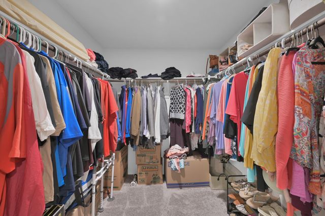 183 Bellewood Manor Drive, Magnolia, TX 77354