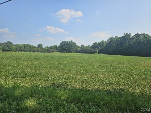 Clinton Road, Brutus, NY 13166